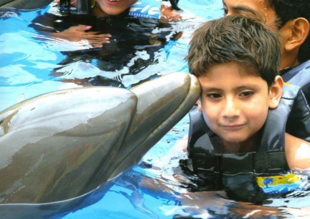 Nadando con un delfin